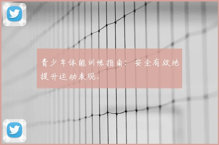青少年体能训练指南：安全有效地提升运动表现。